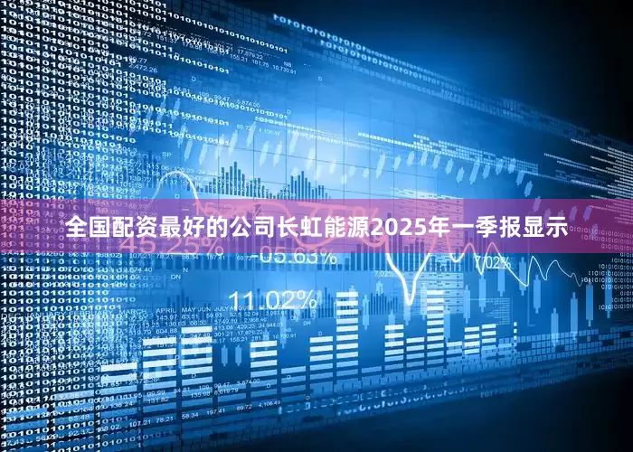 全国配资最好的公司长虹能源2025年一季报显示